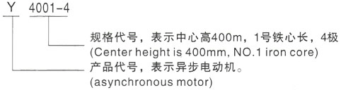 西安泰富西玛Y系列(H355-1000)高压YKK5003-8/500KW三相异步电机型号说明