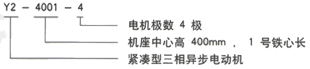 YR系列(H355-1000)高压YKK5003-8/500KW三相异步电机西安西玛电机型号说明